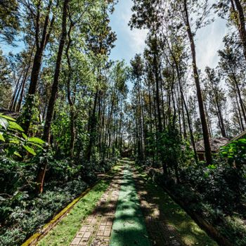 Chikmagalur